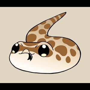 Meet your Posher, Sean